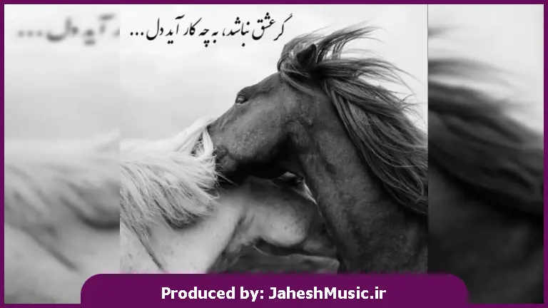 دانلود آهنگ تو اصلا حرفات رو مخ من نیستن از امیر تتلو